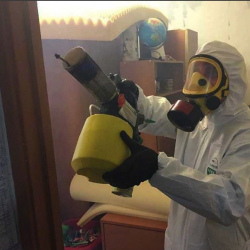 Уничтожение клопов в квартире. Трехгорный